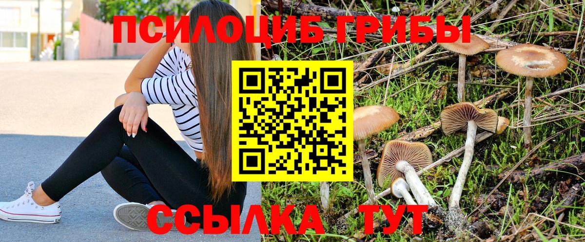 Томск  Галлюциногенные грибы прущие грибы  Вход с VPN  что такое наркотик  Псилоцибиновые грибы Psilocybine cubensis 