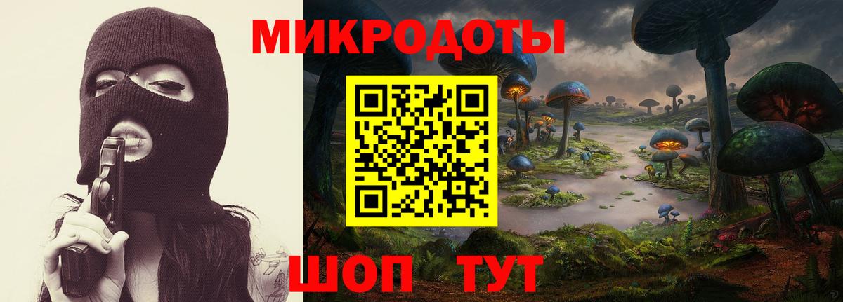 Псилоцибиновые грибы прущие грибы Томск